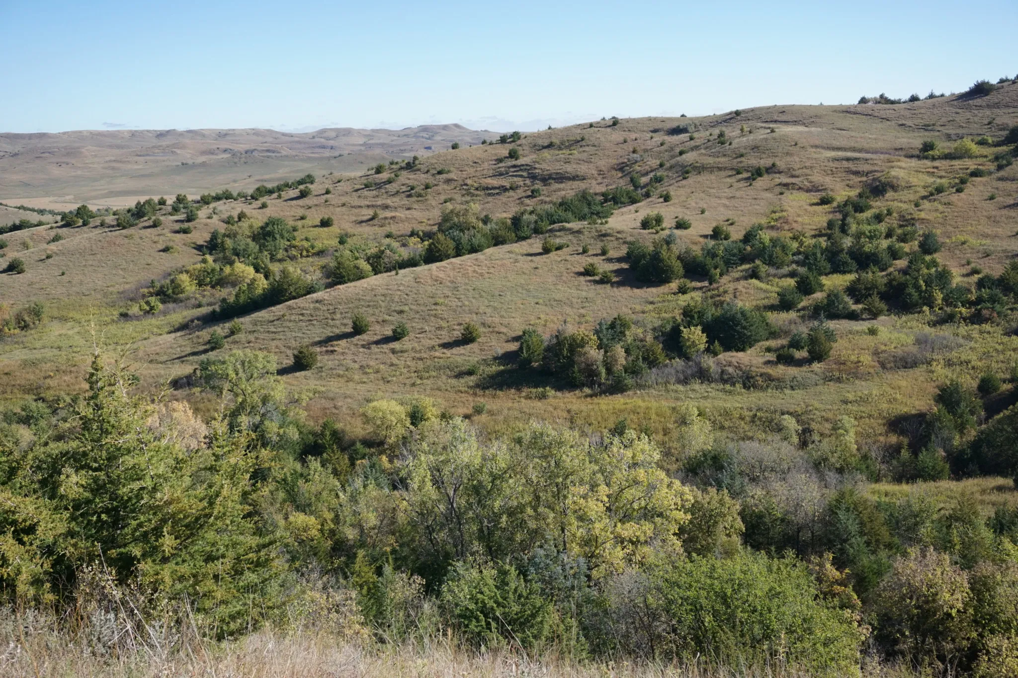South Dakota Ranch and Recreational Property |