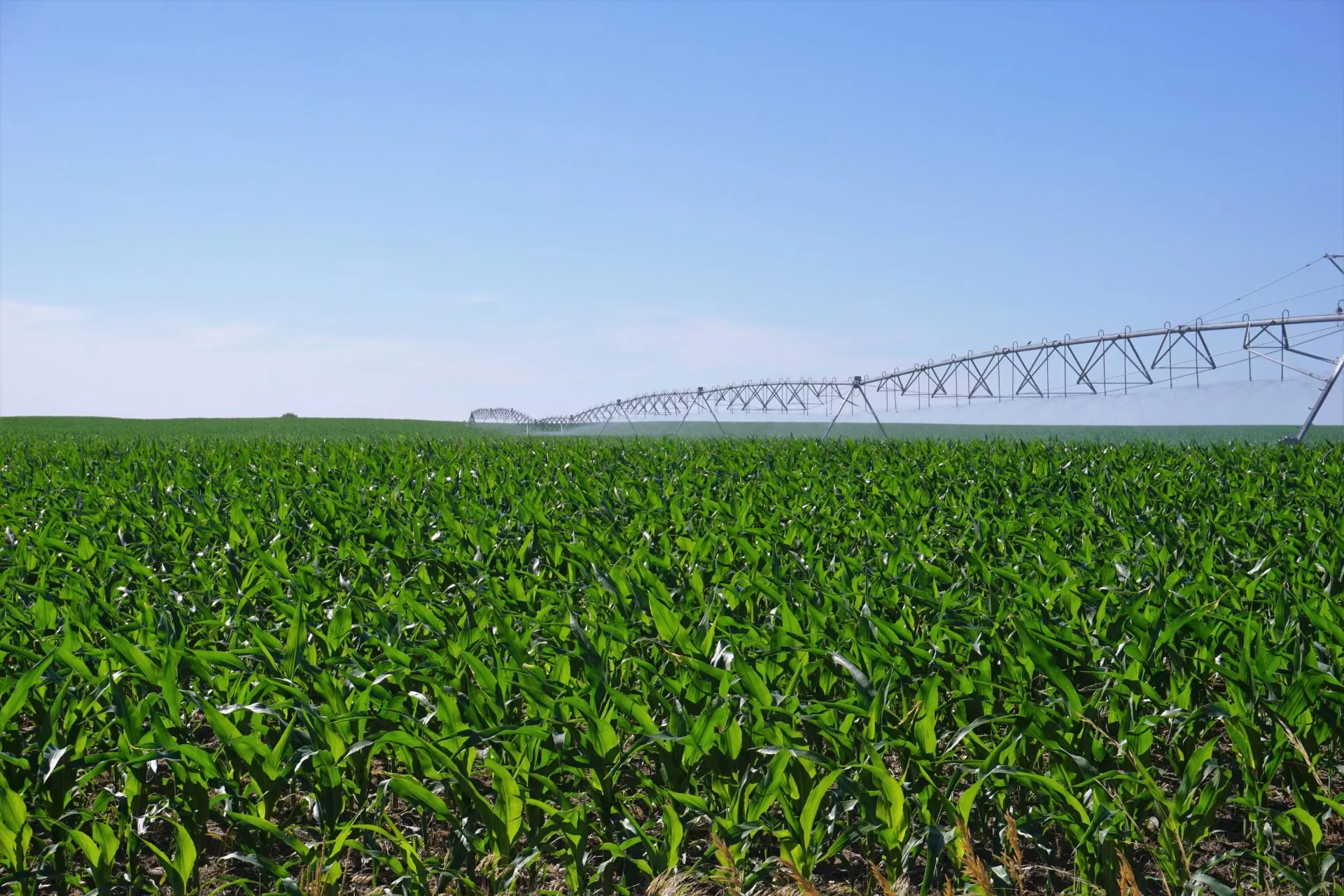 Holt County Farm J1 & J2 (#P2001) |