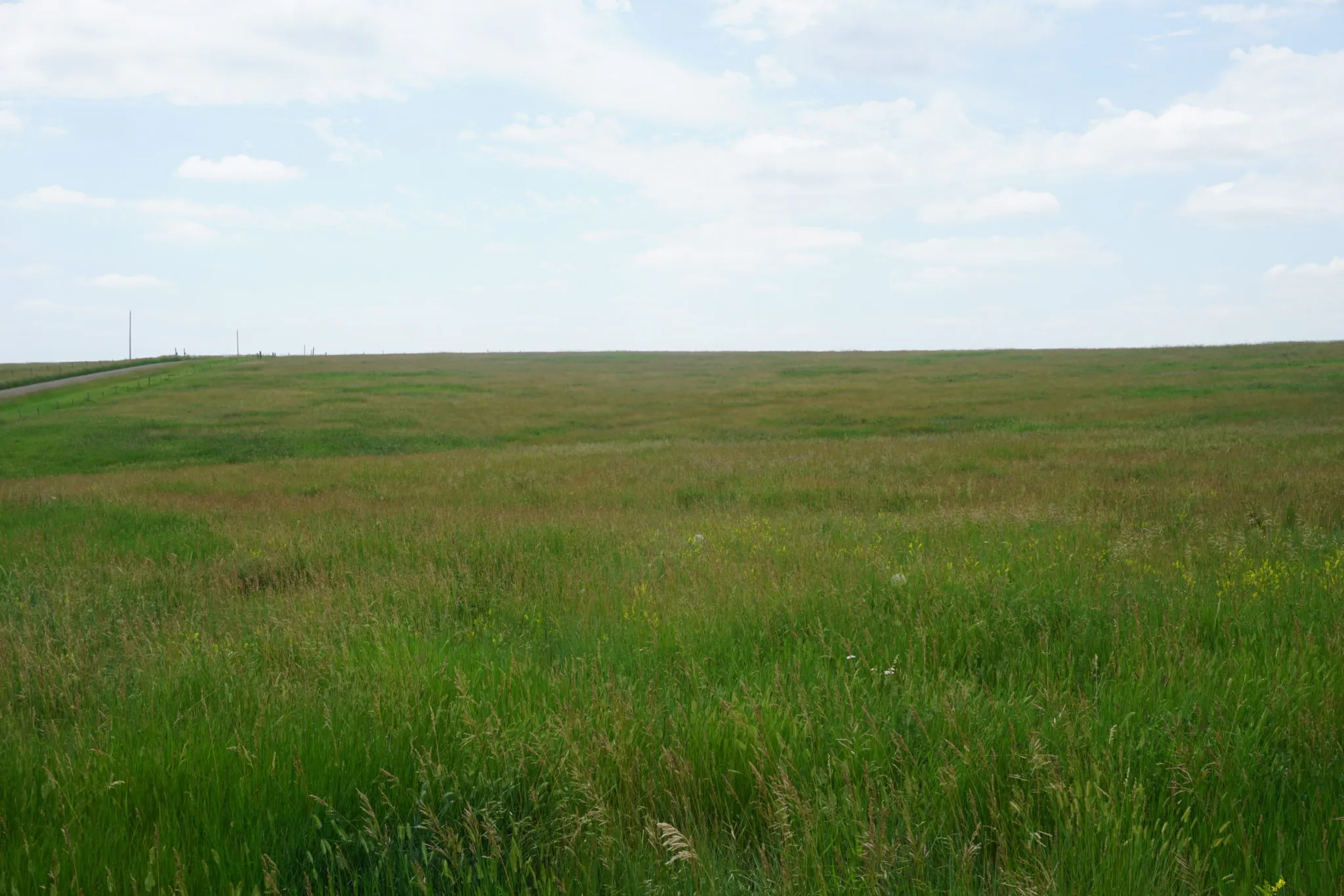 South Dakota Pasture (#A1902) |