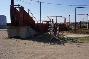 Holt County, NE feedlot for sale