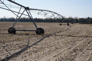 Holt County, NE feedlot for sale