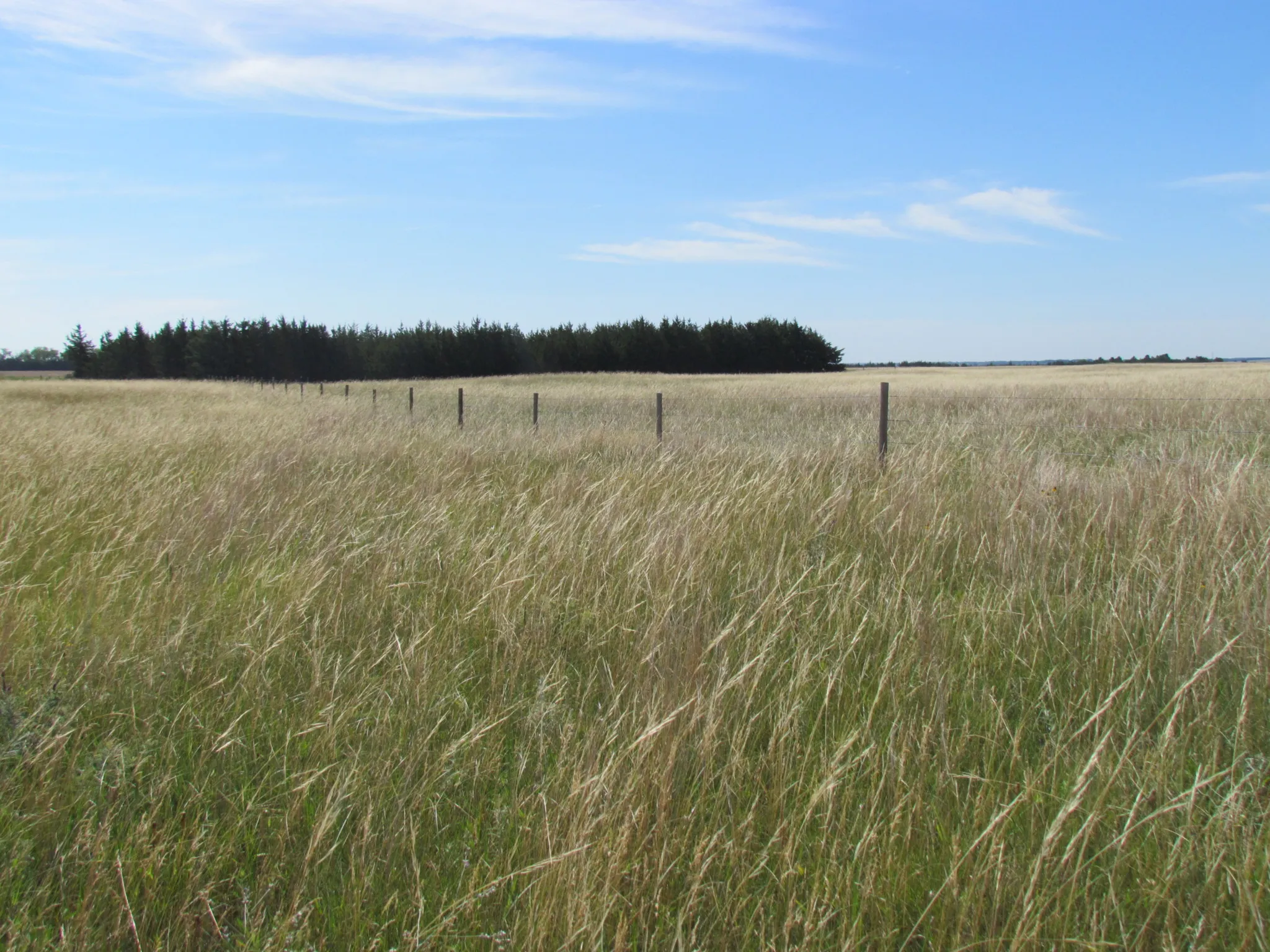 Boyd County Pasture (#P1605) |