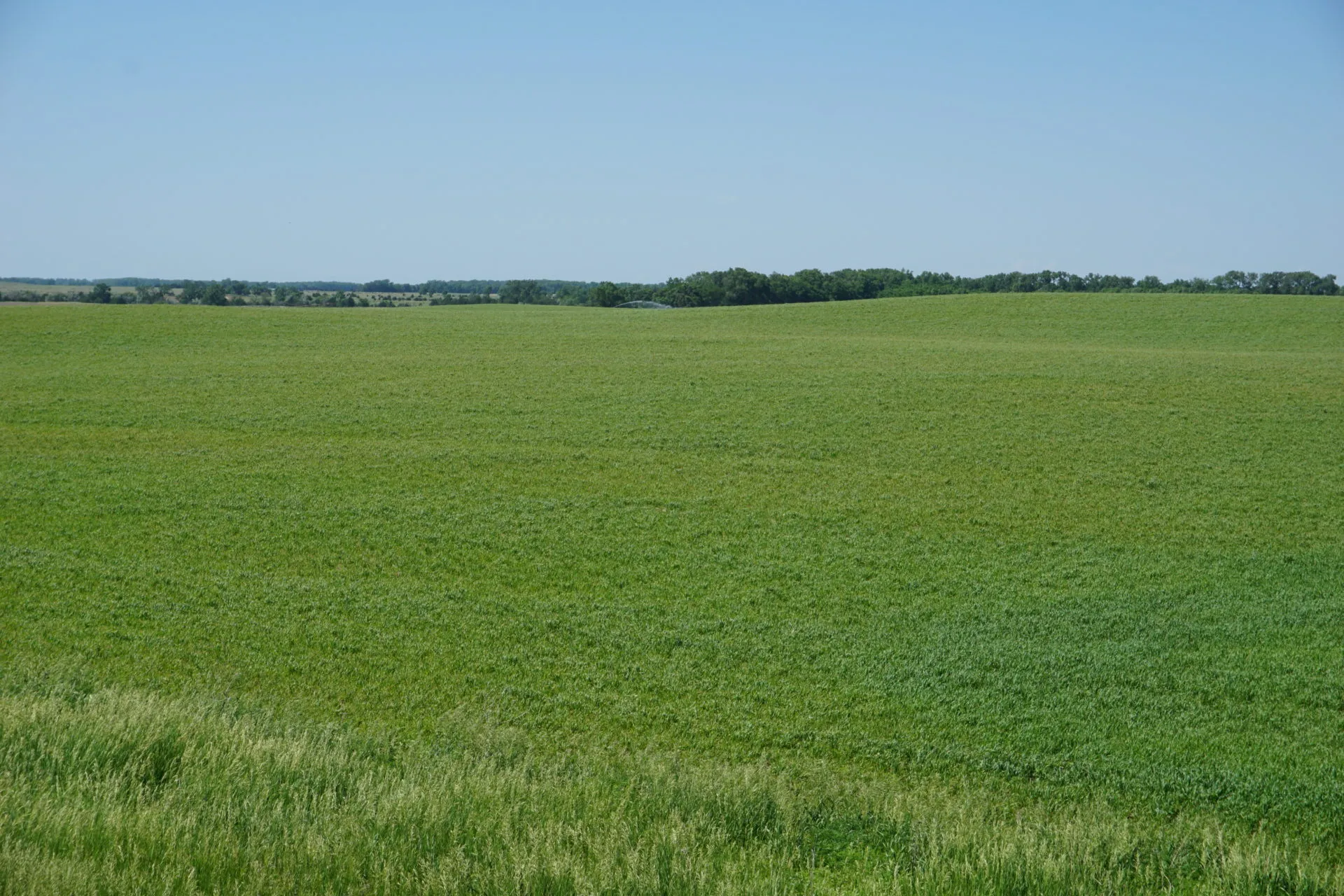 Holt County Farm-Ewing (#P1907) |