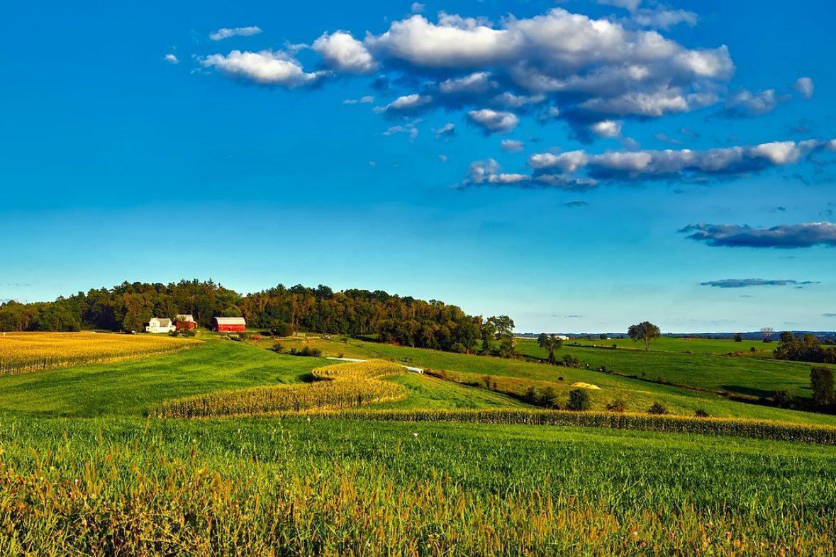 Midwest Farmland for Sale - Waldo Realty