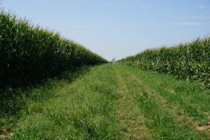 Holt County, NE farm for sale