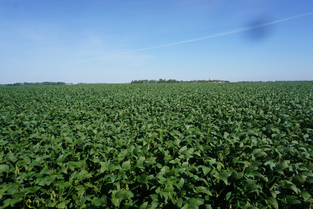 HOLT COUNTY, NE FARM FOR SALE (P2305) Waldo Realty