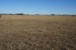 Holt & Boyd County Nebraska Land Auction