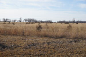 Holt & Boyd County Nebraska Land Auction