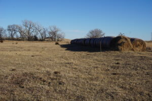 Holt & Boyd County Nebraska Land Auction