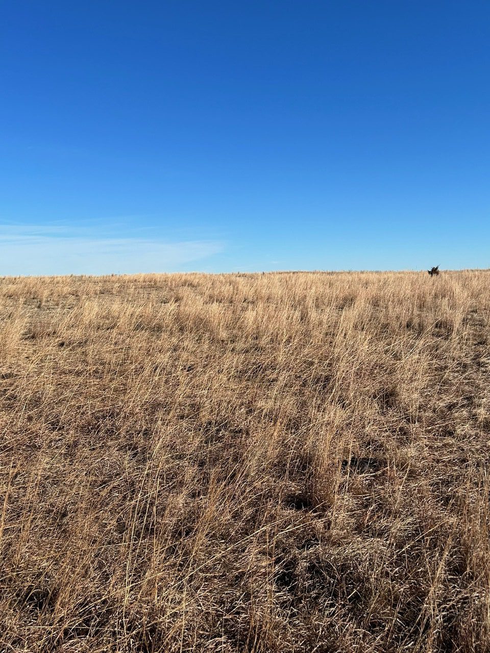 Holt County, Nebraska Pasture For Sale (#P2311) |