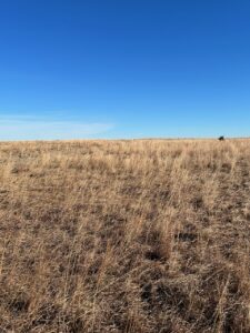 Holt County Nebraska Land For Sale
