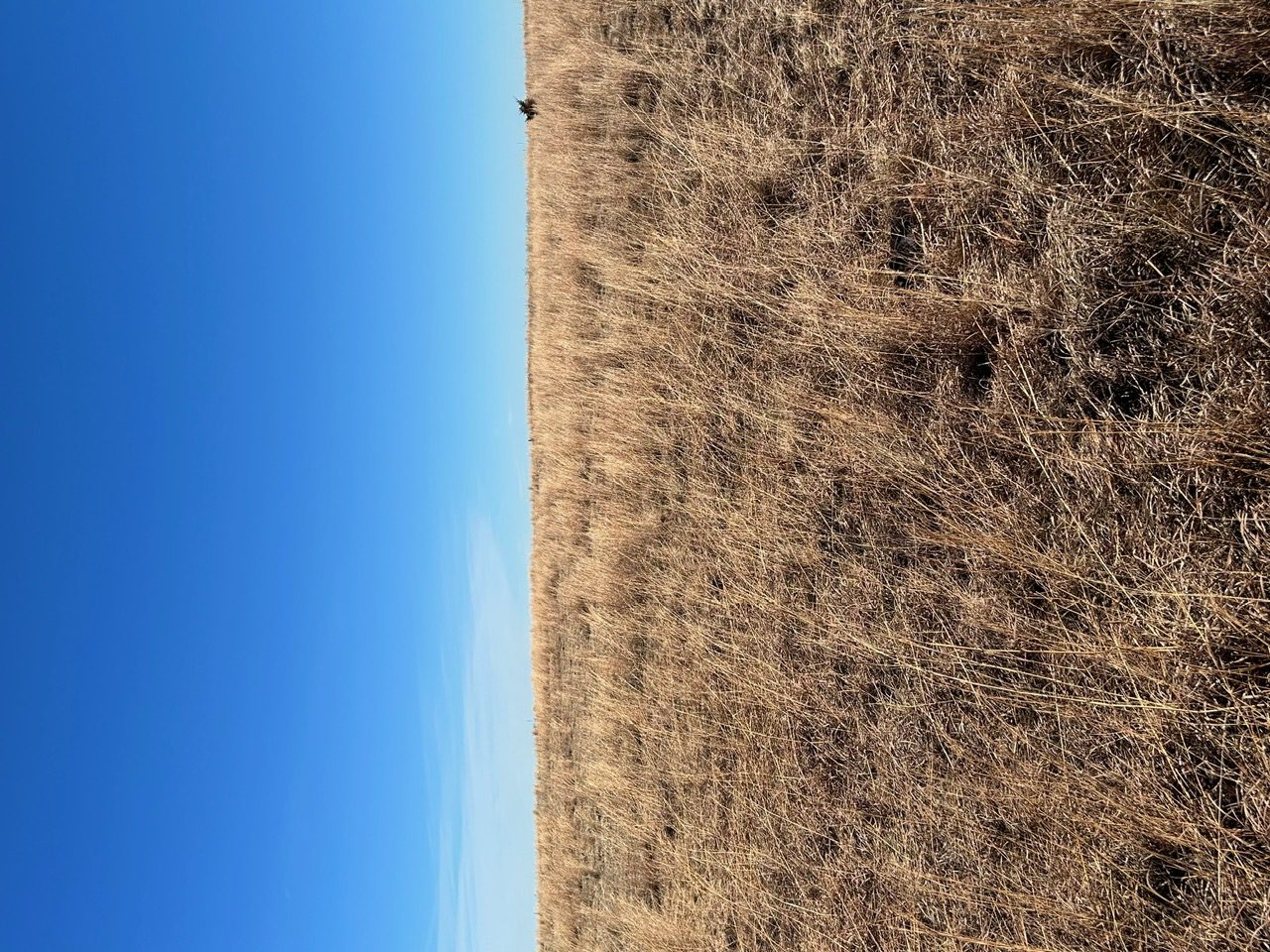 Holt & Boyd County Nebraska Land Auction