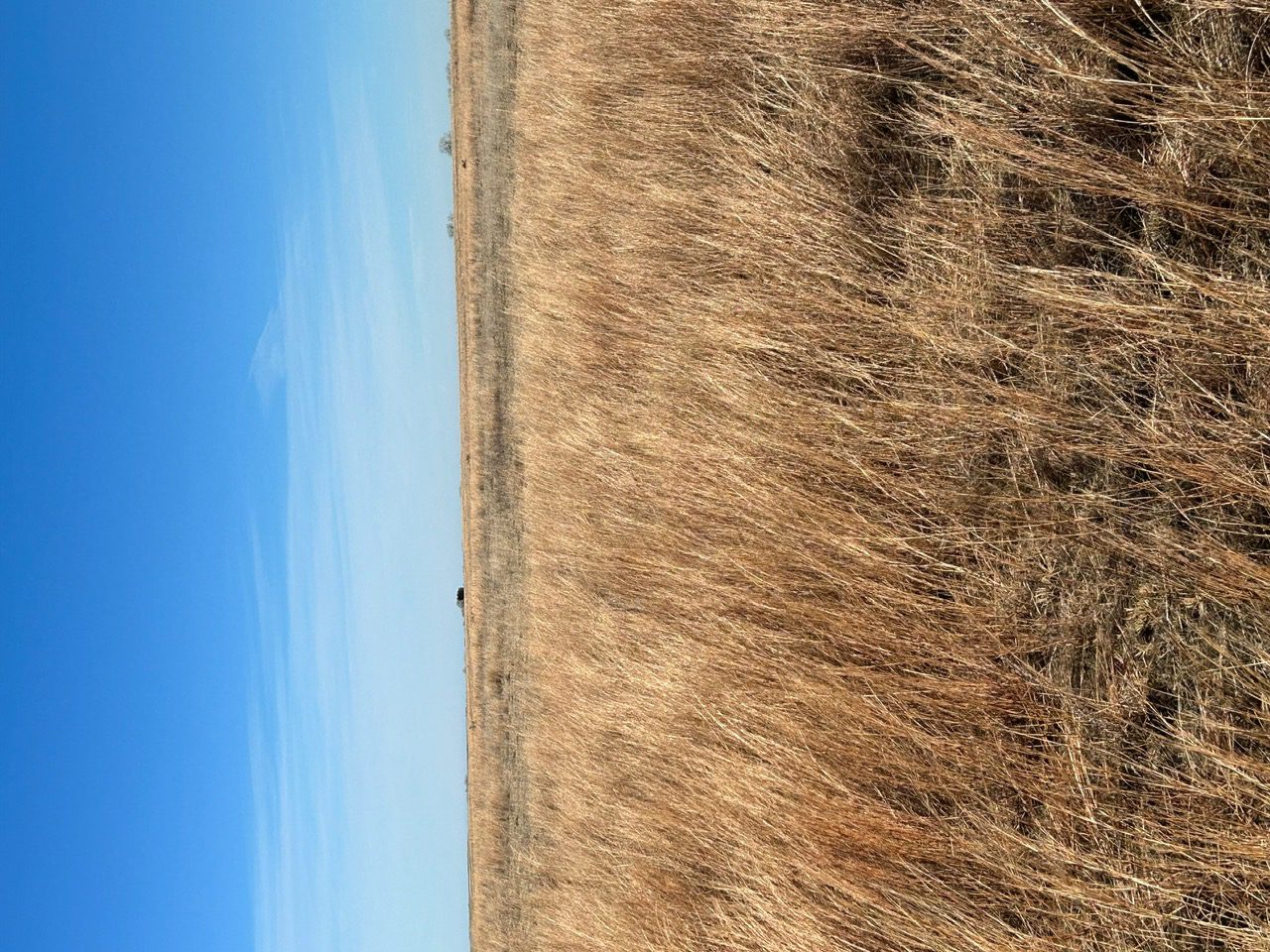 Holt County Nebraska Land For Sale