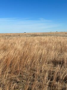 Holt & Boyd County Nebraska Land Auction