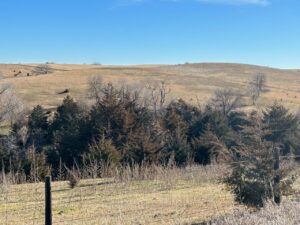 Holt & Boyd County Nebraska Land Auction