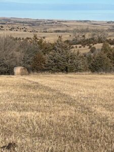 Holt & Boyd County Nebraska Land Auction