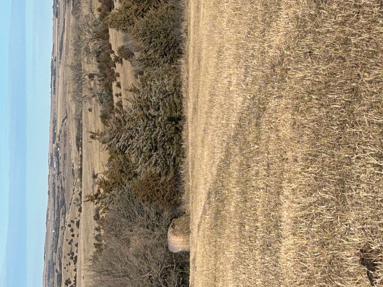 Holt & Boyd County Nebraska Land Auction