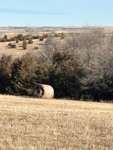 Holt & Boyd County Nebraska Land Auction