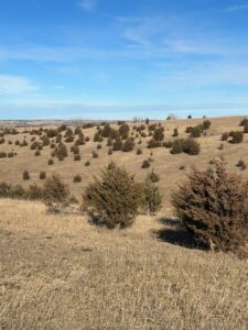 Holt & Boyd County Nebraska Land Auction