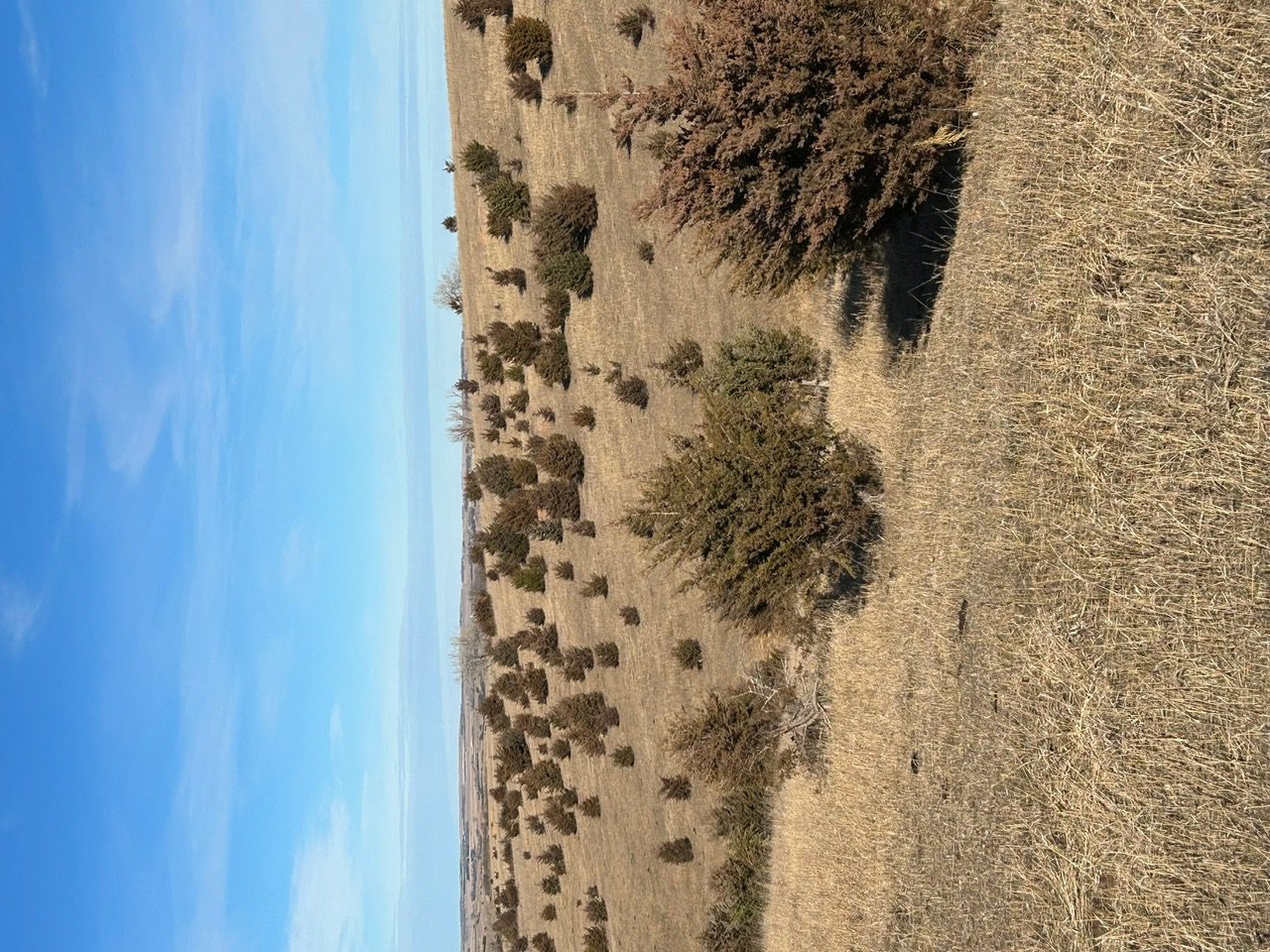 Holt & Boyd County Nebraska Land Auction