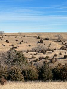 Holt & Boyd County Nebraska Land Auction