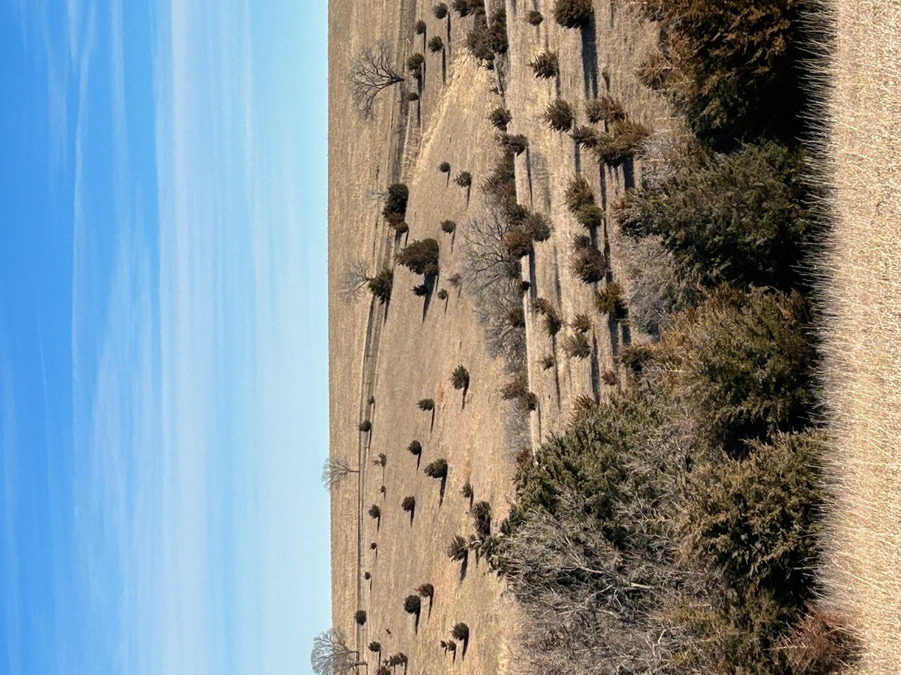 Holt & Boyd County Nebraska Land Auction