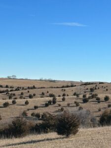 Holt & Boyd County Nebraska Land Auction