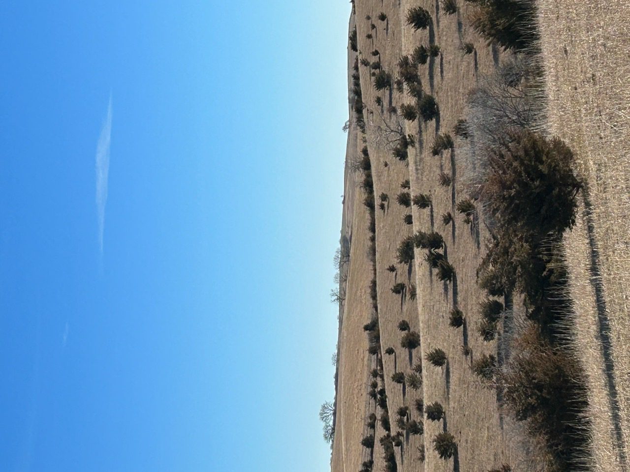 Holt & Boyd County Nebraska Land Auction