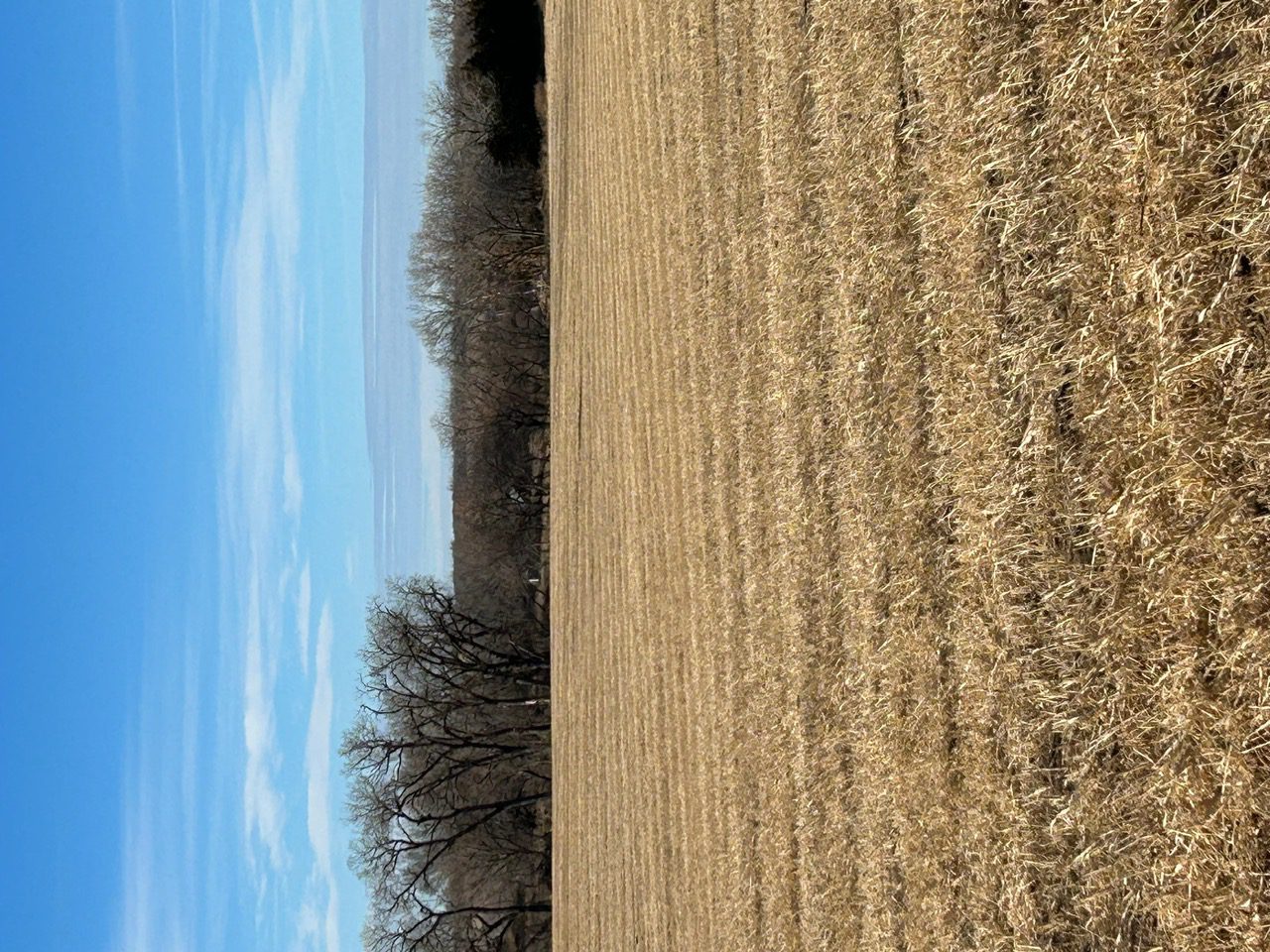 Holt & Boyd County Nebraska Land Auction