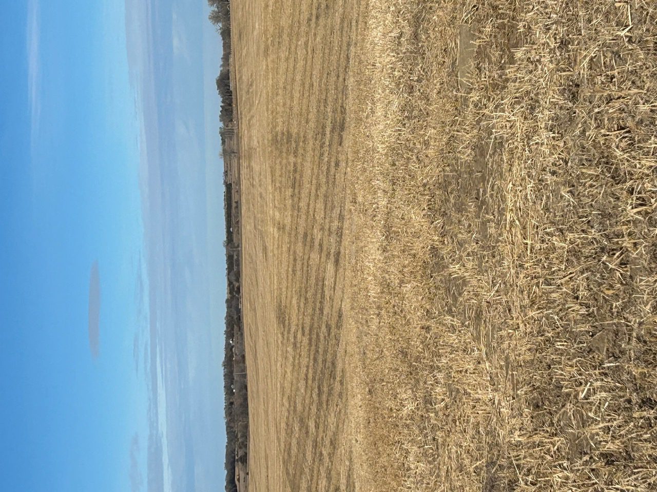 Holt & Boyd County Nebraska Land Auction