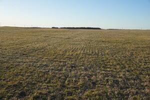 Holt County Nebraska Irrigated Farm For Sale