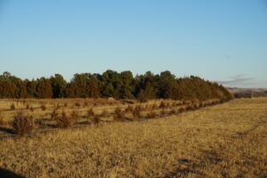 Holt County Nebraska Irrigated Farm For Sale