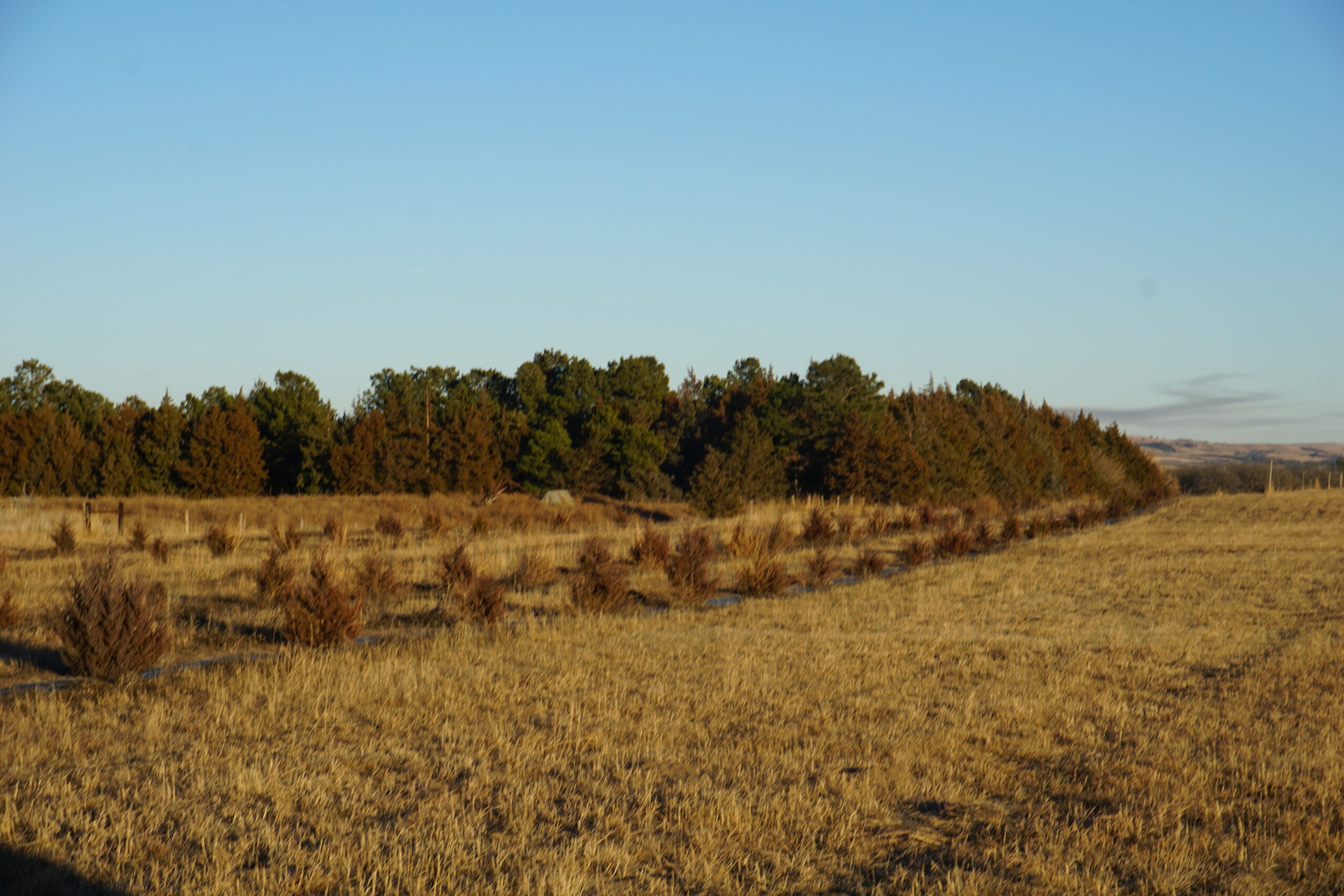 Holt County Nebraska Irrigated Farm For Sale