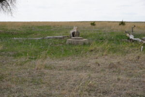 Holt County, Nebraska Pasture For Sale