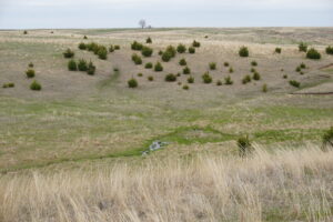 Holt County, Nebraska Pasture For Sale