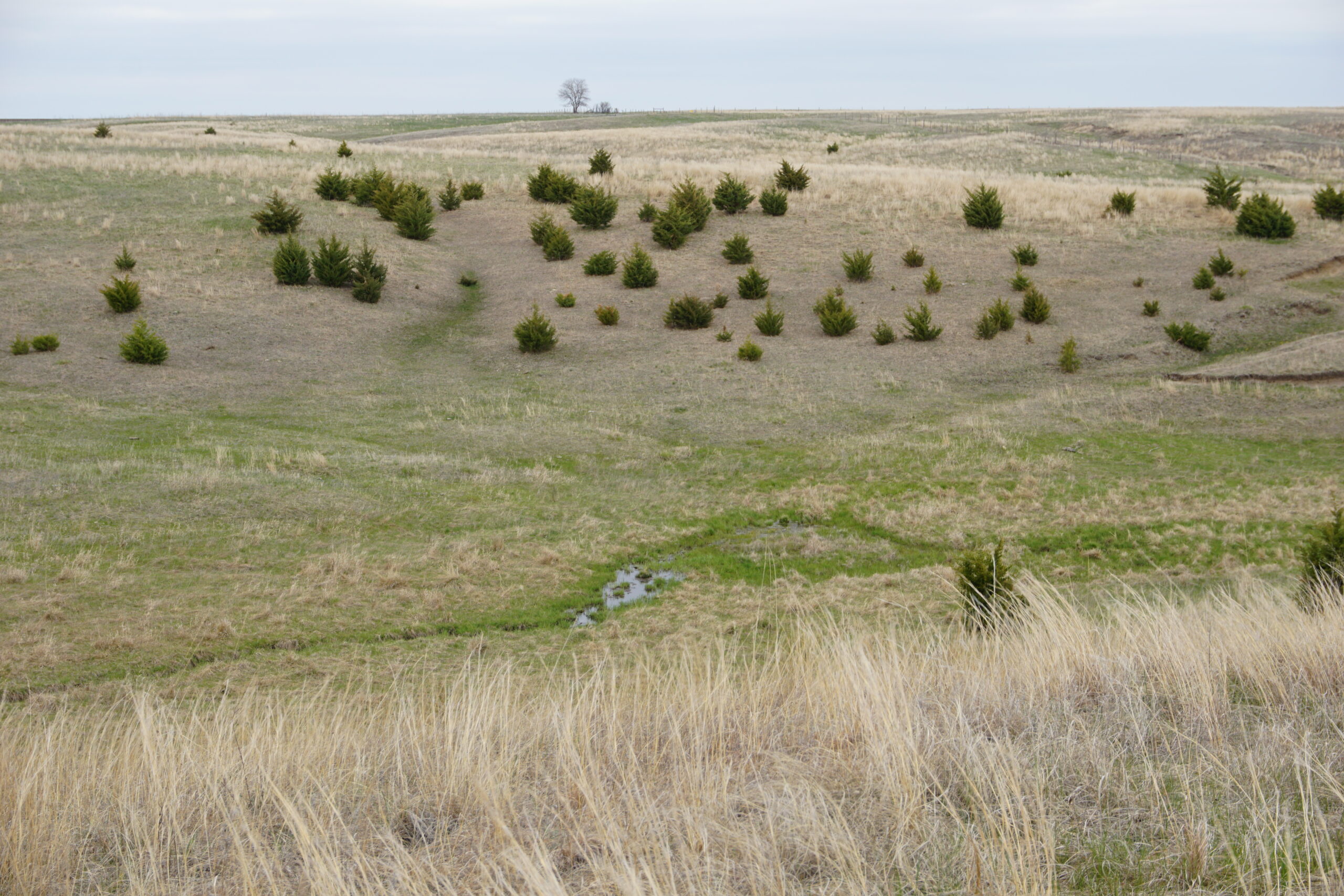 Holt County, Nebraska Pasture For Sale
