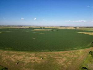 Brown County, Nebraska Irrigated Farm For Sale