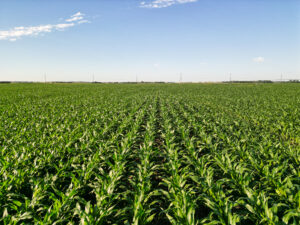 Brown County, Nebraska Irrigated Farm For Sale