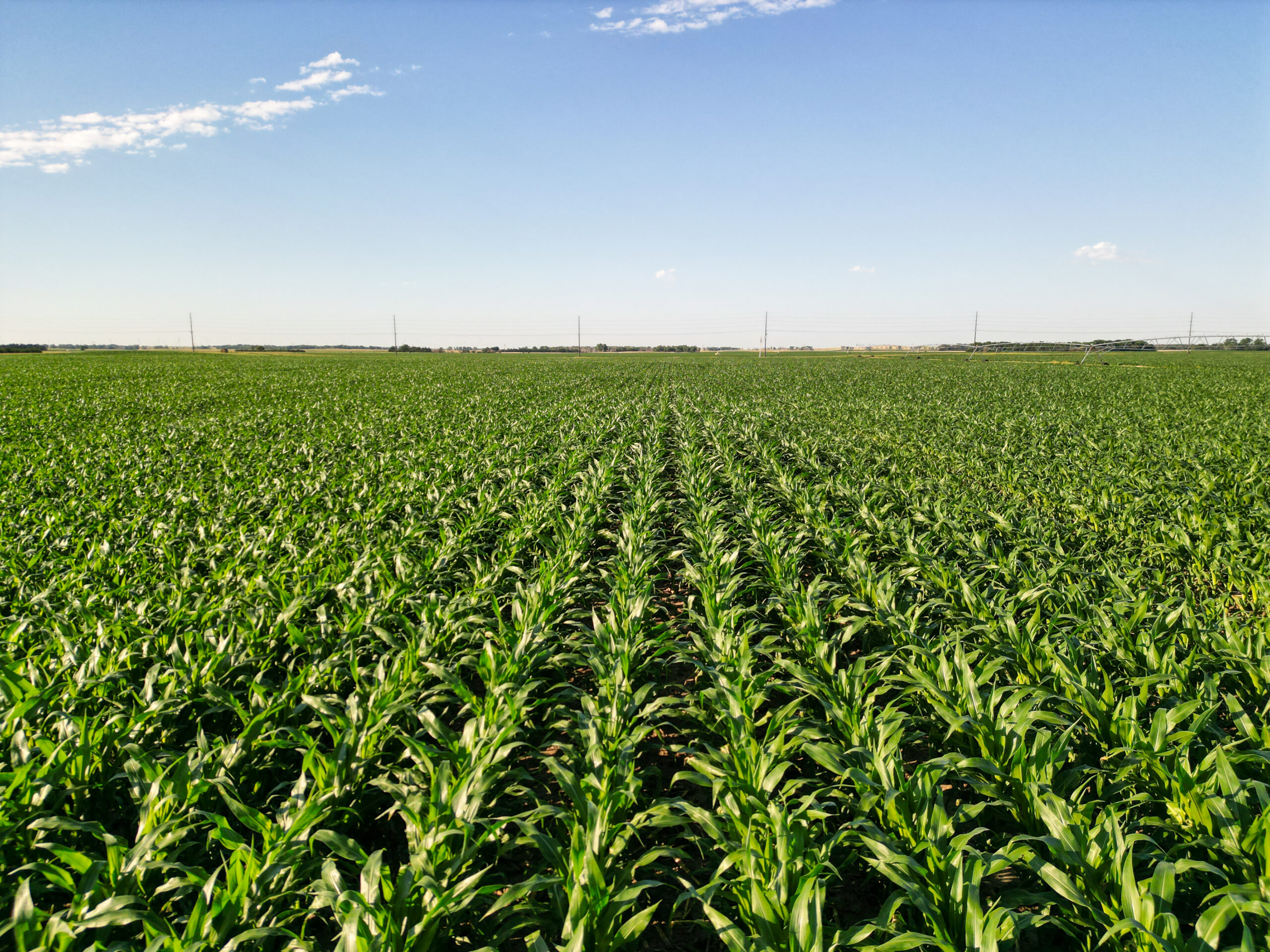 Brown County, Nebraska Irrigated Farm For Sale