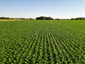 Brown County, Nebraska Irrigated Farm For Sale