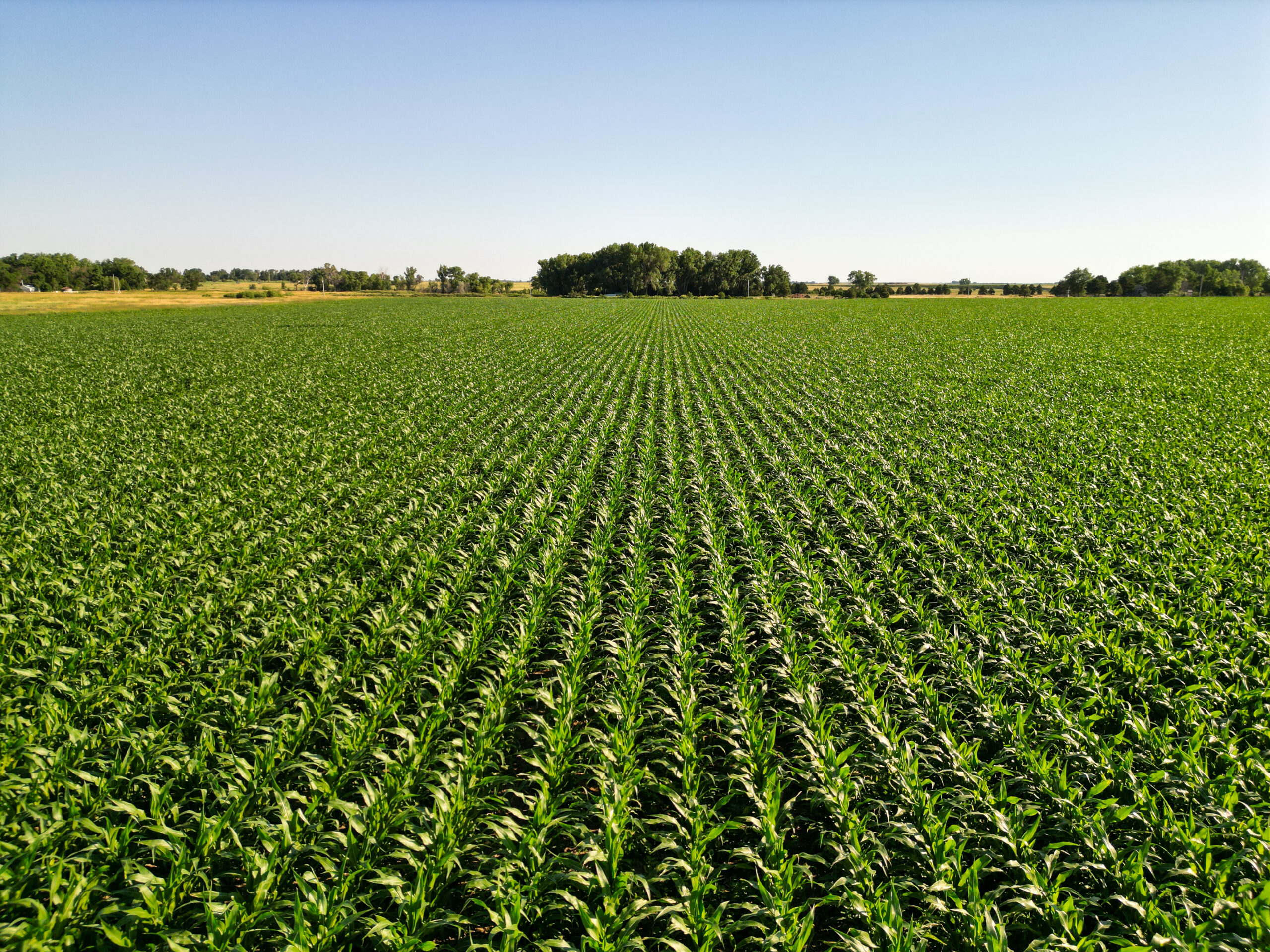 Brown County, Nebraska Irrigated Farm For Sale
