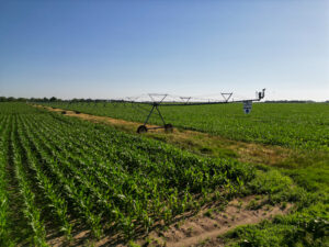 Brown County, Nebraska Irrigated Farm For Sale