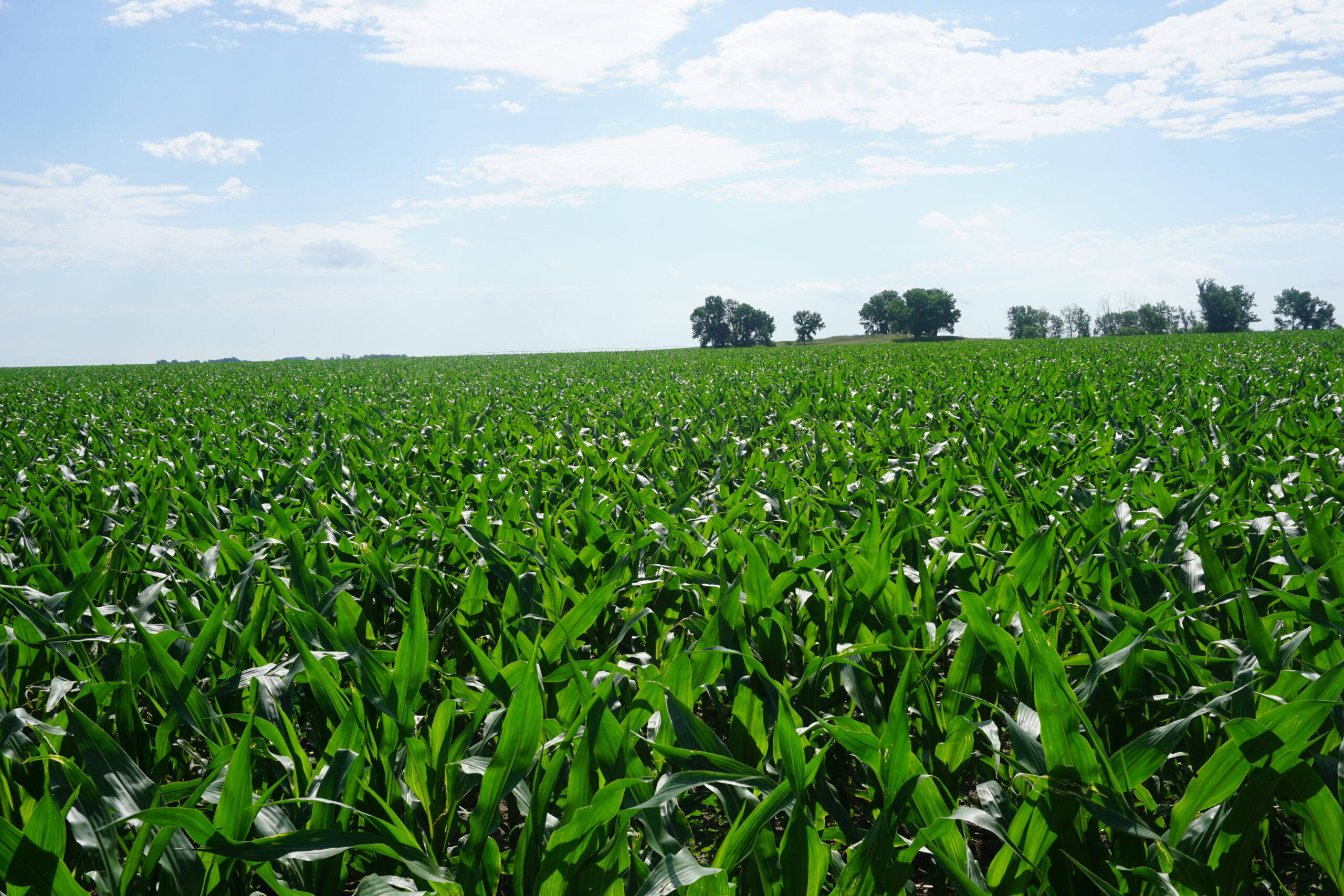 Brown County, Nebraska Irrigated Farm For Sale