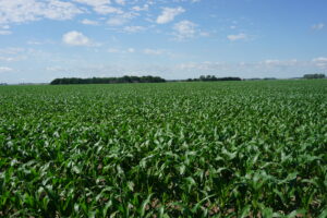 Brown County, Nebraska Irrigated Farm For Sale