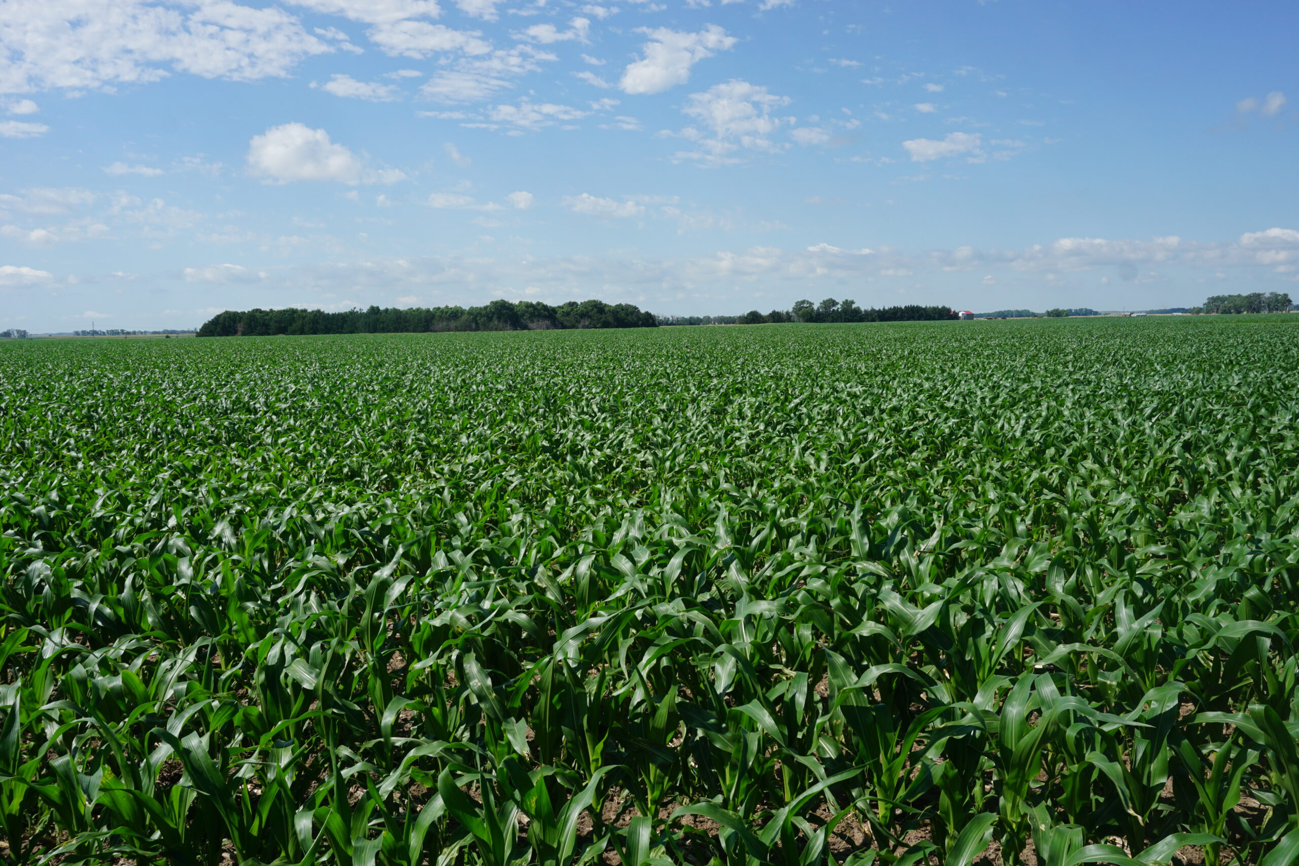 Brown County, Nebraska Irrigated Farm For Sale
