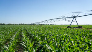 Brown County, Nebraska Irrigated Farm For Sale