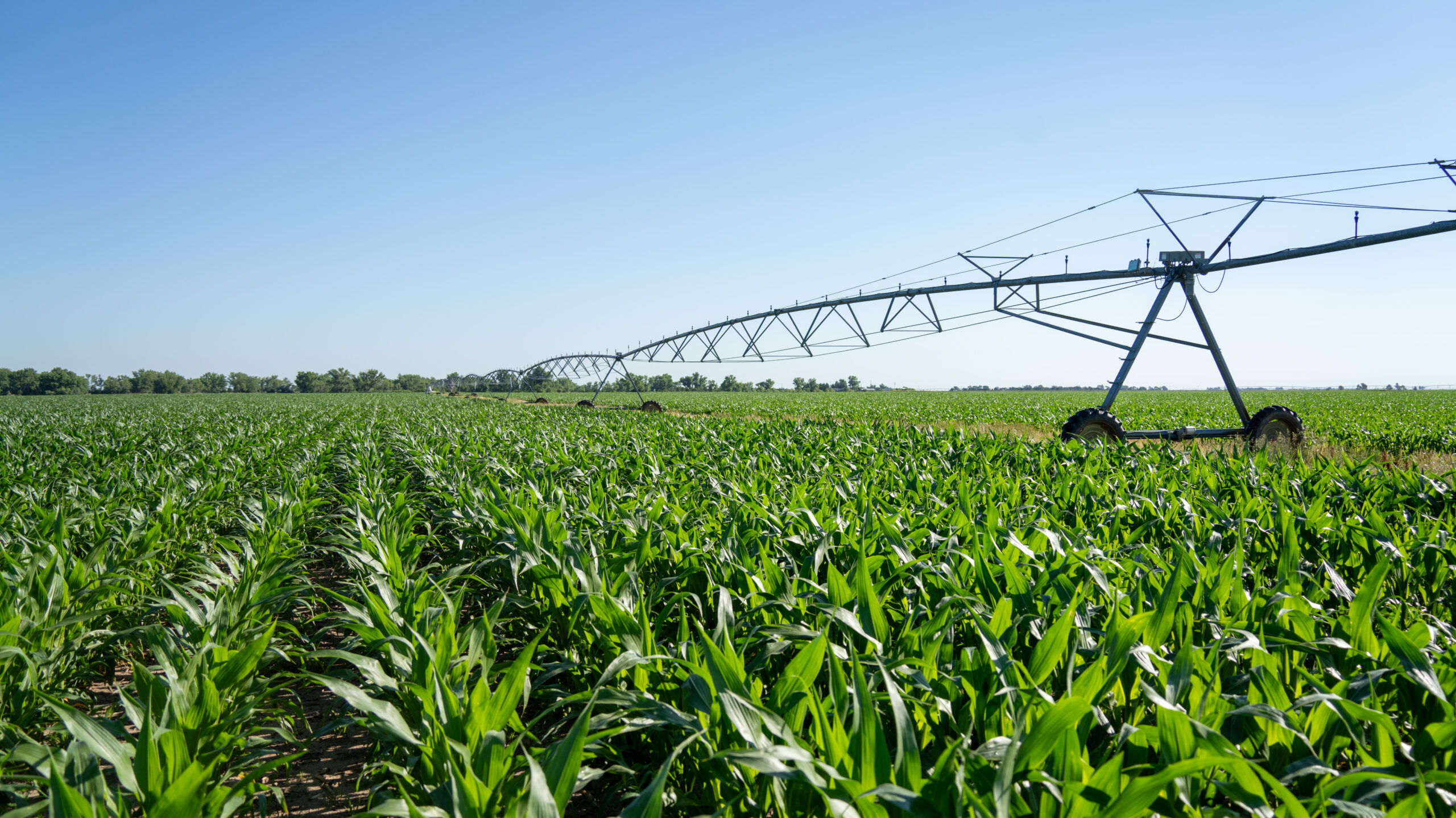 Brown County, Nebraska Irrigated Farm For Sale