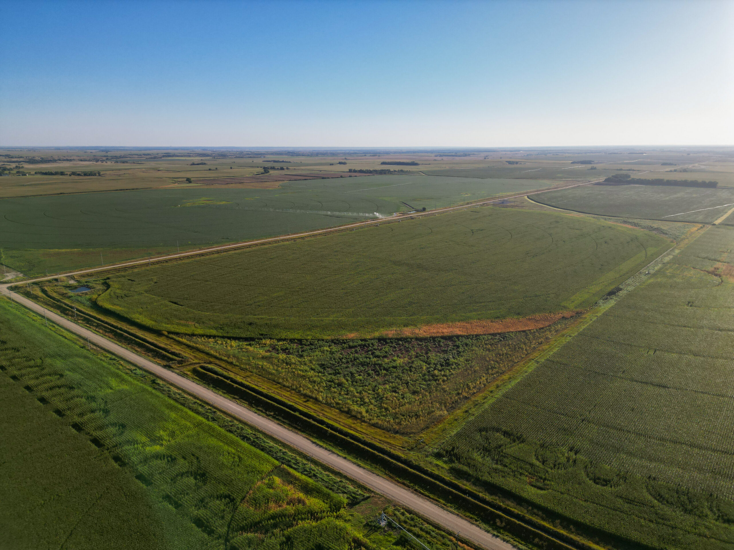 Live auction - Brown/Holt/Rock County, Nebraska