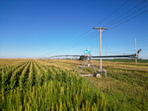 Live auction - Brown/Holt/Rock County, Nebraska