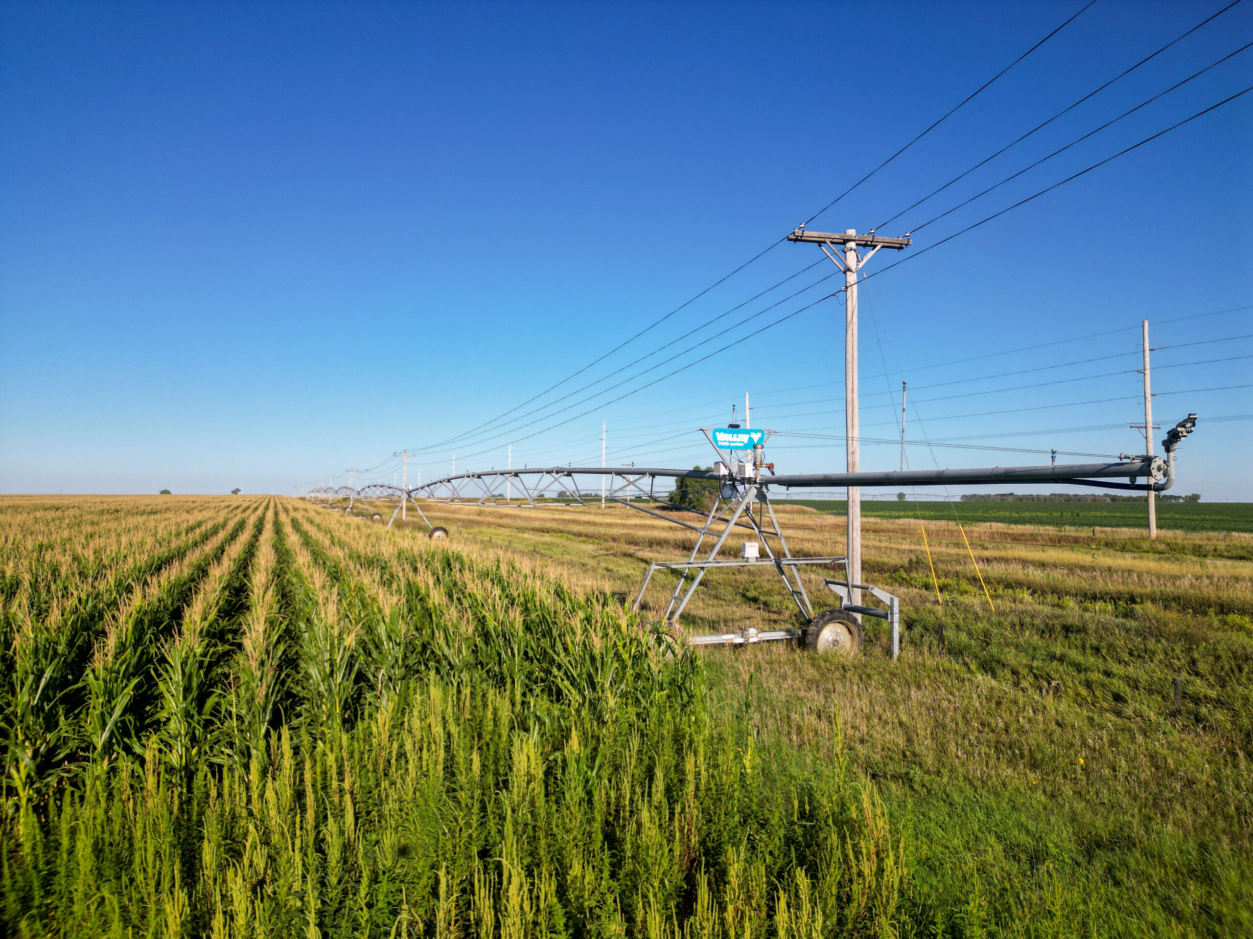 Live auction - Brown/Holt/Rock County, Nebraska